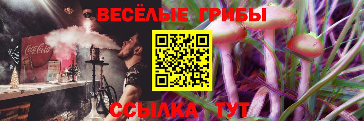 Галлюциногенные грибы Psilocybine cubensis  Вход с VPN  Конаково 
